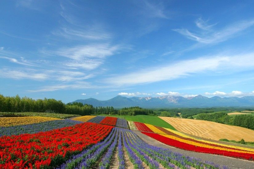 Japan Landscape Desktop Wallpaper 12434