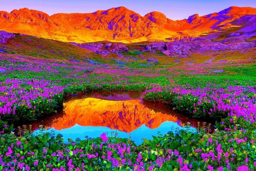 Brilliant Colors Of Nature HD Desktop Background