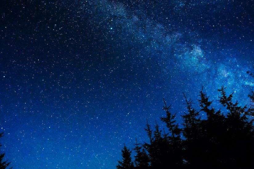 3840x2160 Wallpaper starry sky, night, stars, glitter, trees