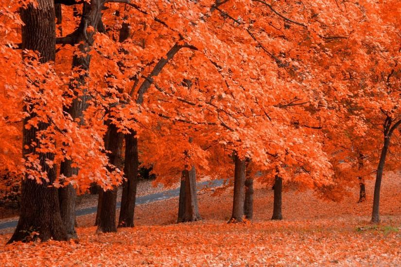 autumn wallpaper hd wallpapers autumn wallpaper hd backgrounds .