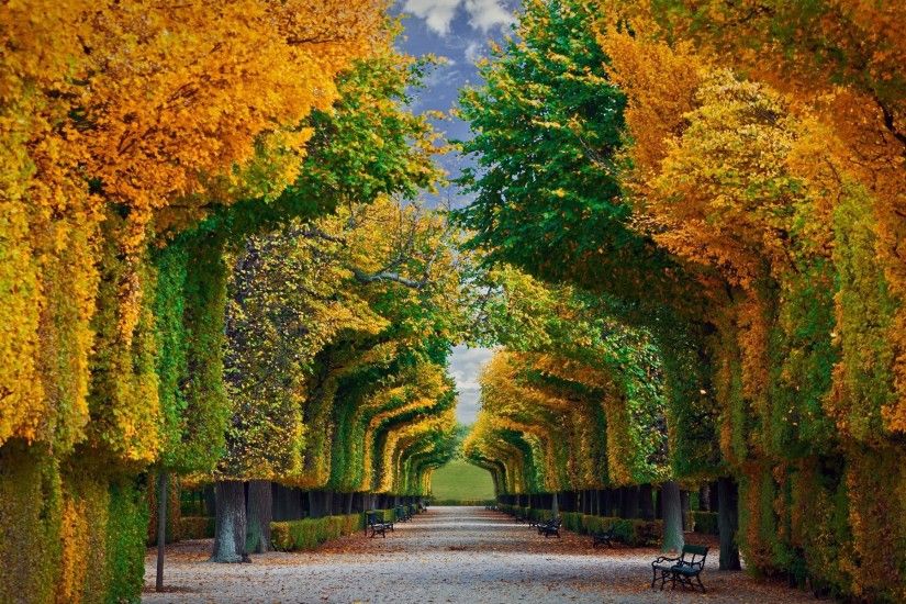 Man Made - Garden Schonbrunn Palace Gardens Tree Fall Foliage Vienna  Austria Wallpaper