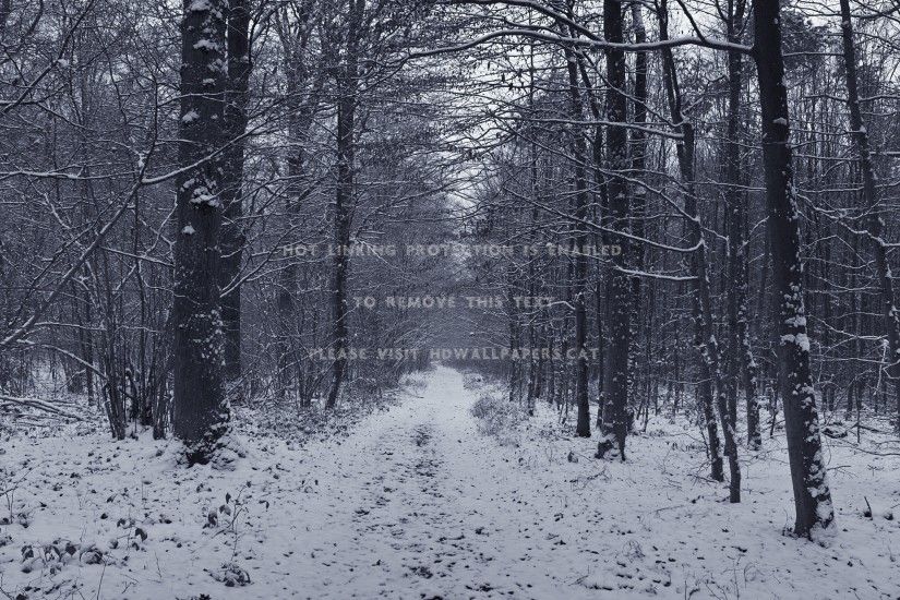 snowy-dark-forest-wallpaper