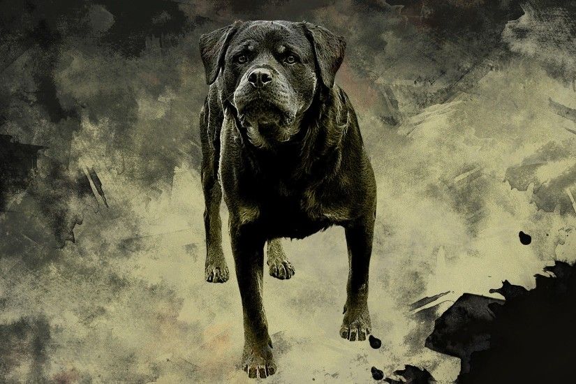 Rottweiler, Dog, Painting, Hd, Wallpaper, Mut, Free, Download, 1920Ã1080  Wallpaper HD