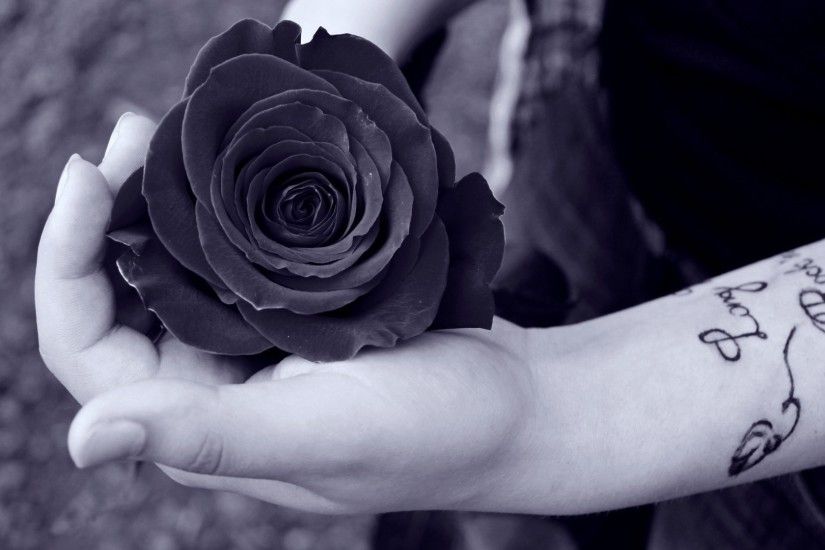 Romantic Black Rose Wallpaper #2.