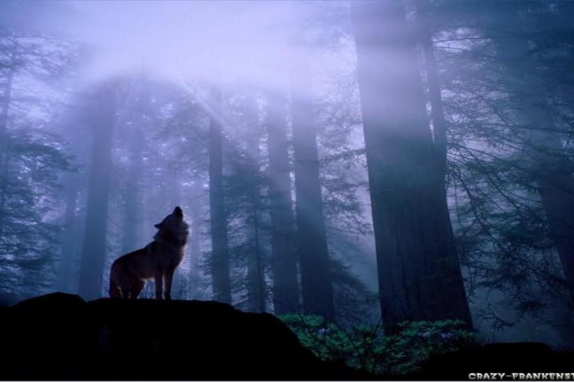 wolf background 1920x1080 iphone
