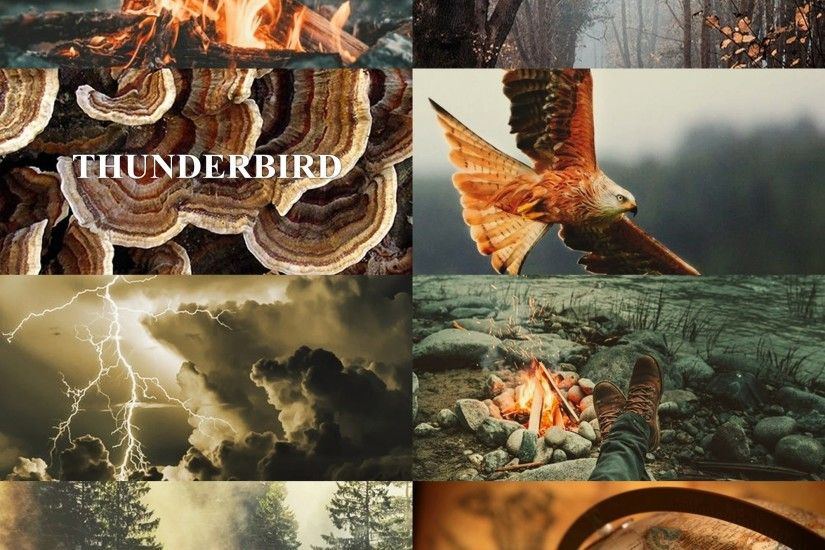 THUNDERBIRD - Represents the soul. Favours adventurers | thunderbird -  ilvermorny - fantastic beasts -