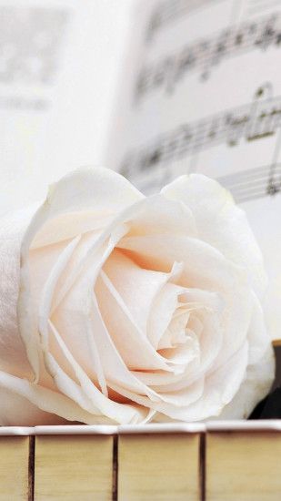Pure White Rose Music Note iPhone 6 wallpaper