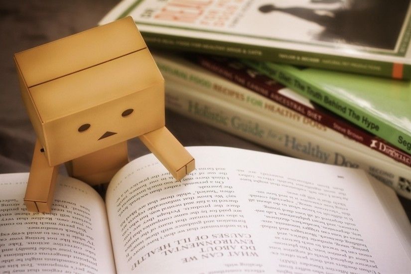book study danbo cardboard man toys read