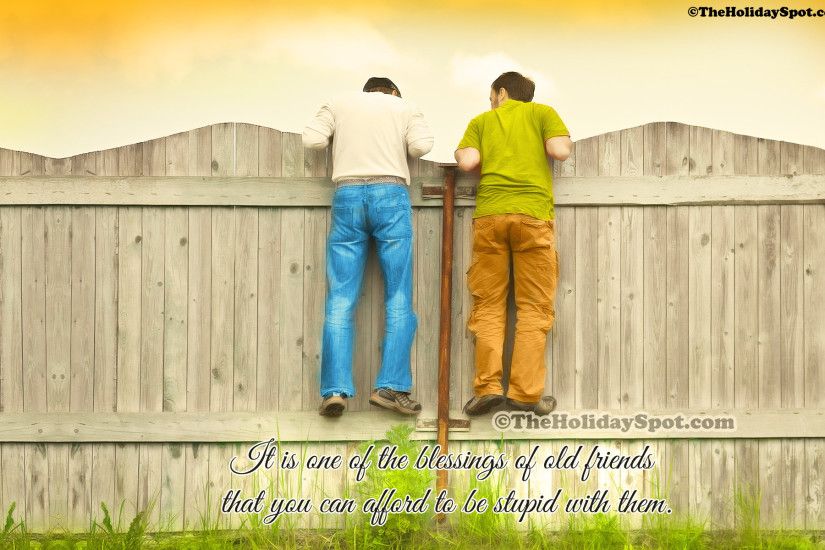 High Definition Friendship wallpaper showcasing two friends on the fence.