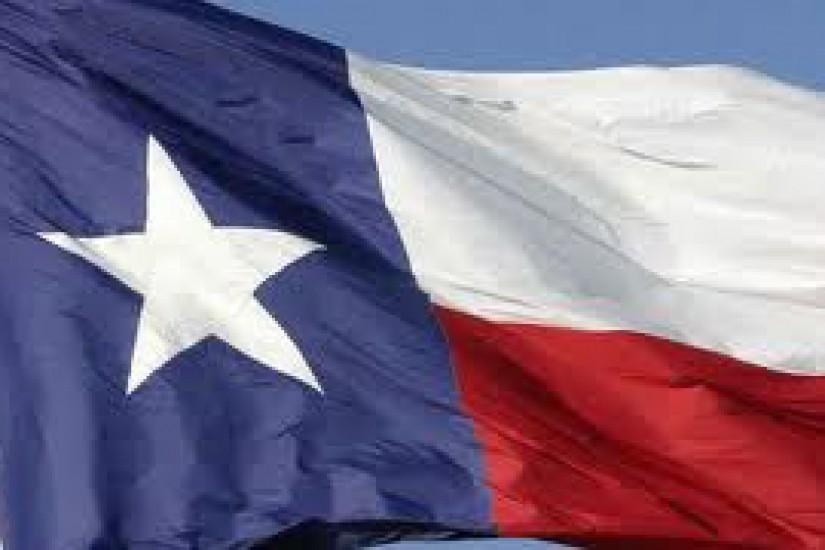 Texas state flag 2
