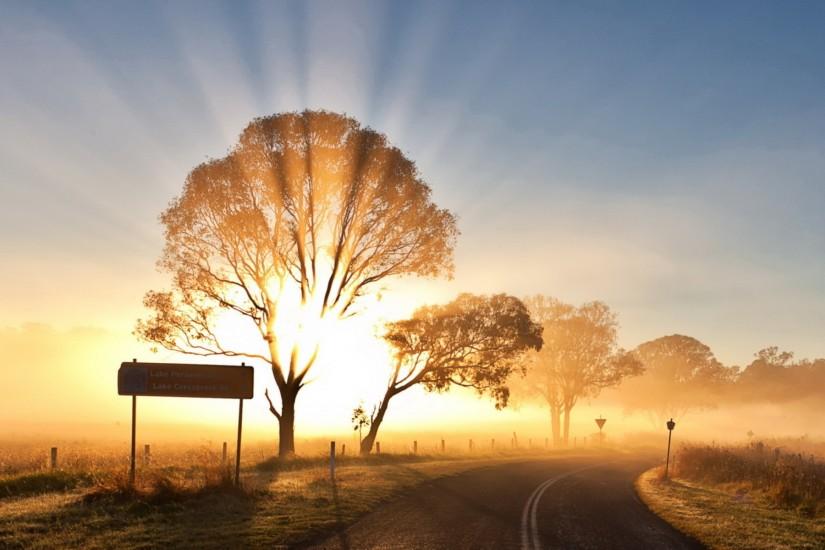 world roads sign nature landscapes fields trees sky sun sunlight sunbeam  sunrise sunset bright color wallpaper