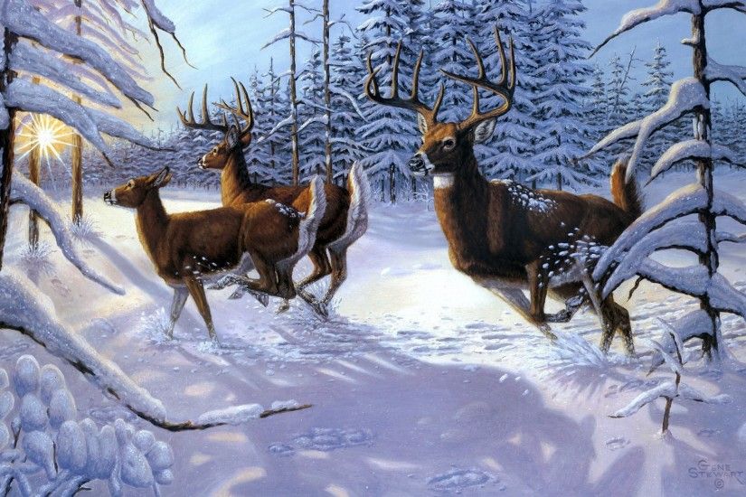 Gene-Stewart-Winter-sow-forst-deer-pictures-1920x1200