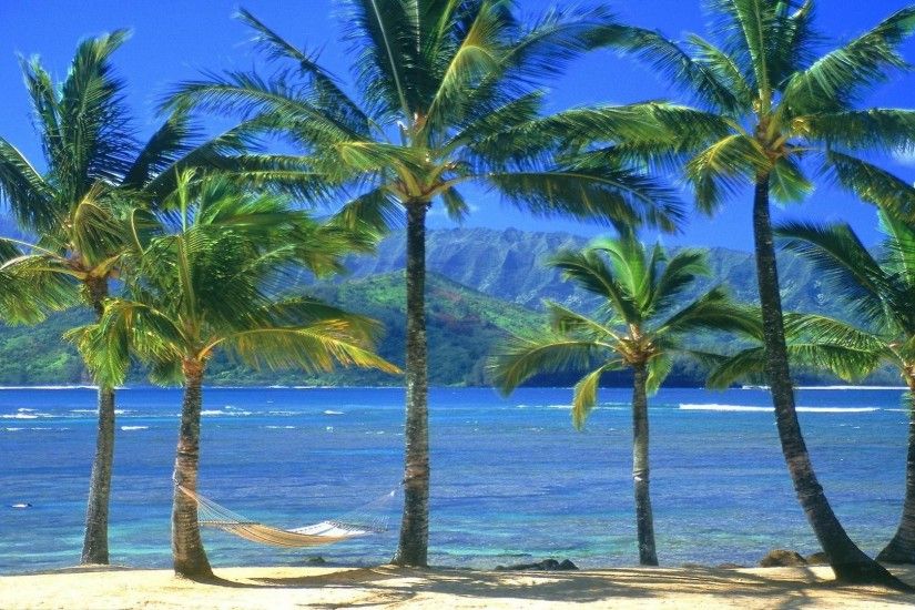 An empty hammock kauai Hawaii free desktop background - free .