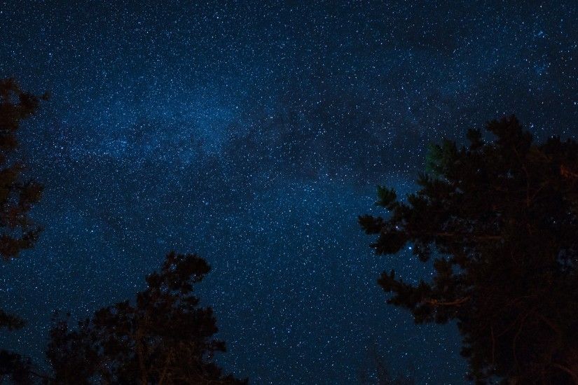 3840x2160 Wallpaper starry sky, night, trees, stars