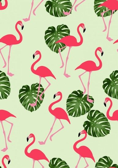 Afbeeldingsresultaat voor flamingo wallpaper