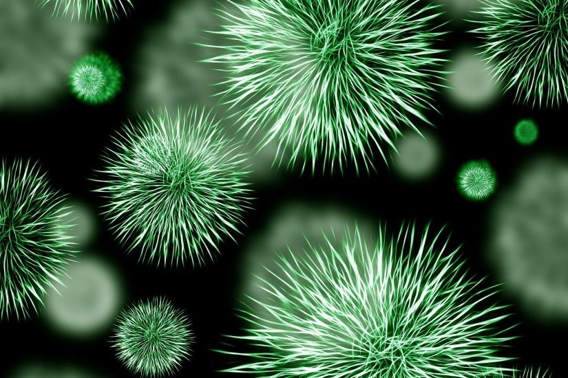 Exposure To Bacteria Is Healthy For Our Immune System, Keeping Autoimmune  Diseases At Bay