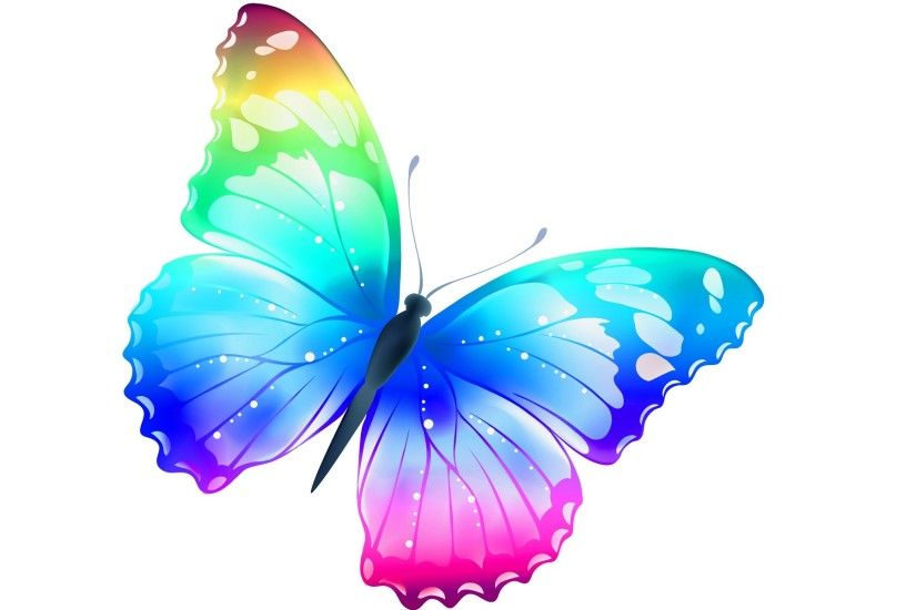 Butterfly most beautiful desktop wallpaper