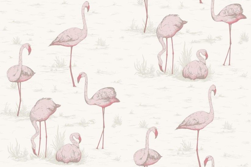 Cole & Son Wallpaper Contemporary Restyled Flamingos Collection 95/8045 -  Thumb ...