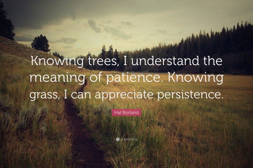 Patience Quotes: “Knowing trees, I understand the meaning of patience.  Knowing grass