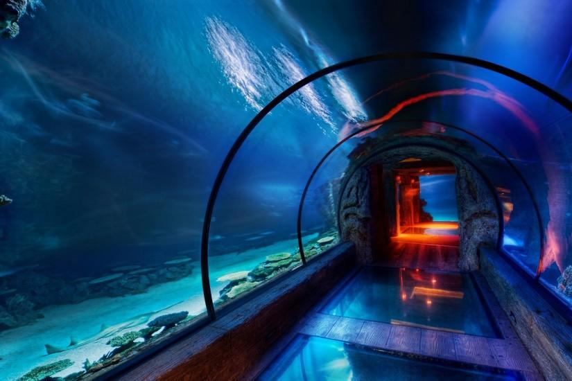 Aquariums, Tanks Â· Download wallpaper