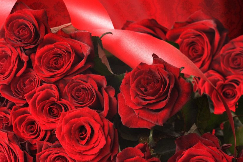 hd wallpaper Red Rose Flowers