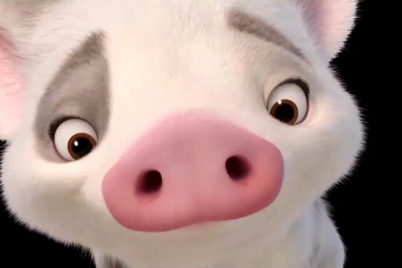 MOANA Promo Clip - Say Hello To Pua (2016) Disney Animated Movie HD