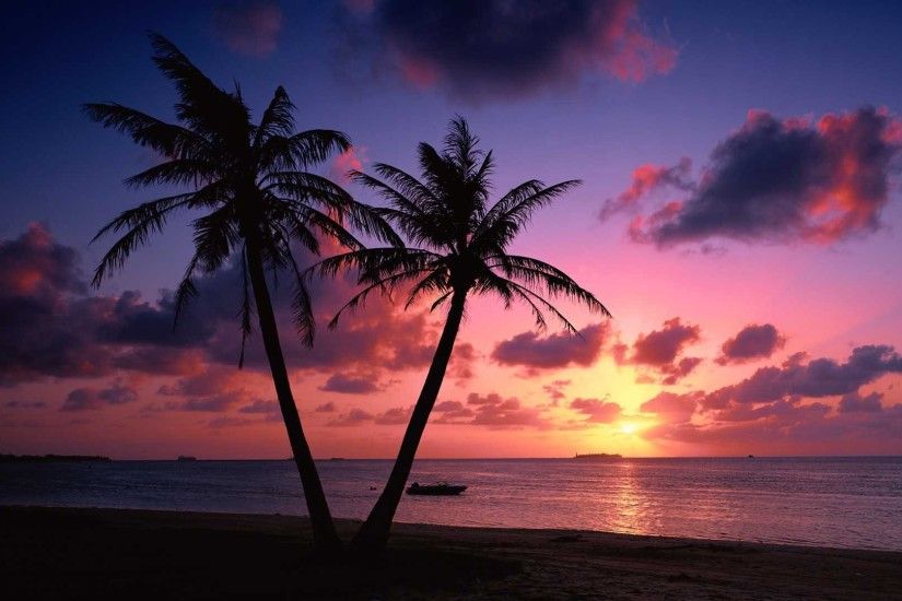 Beach Sunset Palm Trees 904961