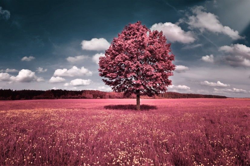 ... desktop wallpaper 112055360 | Wallpaper Pink Landscape - Mountains &  Nature Background Wallpapers on .