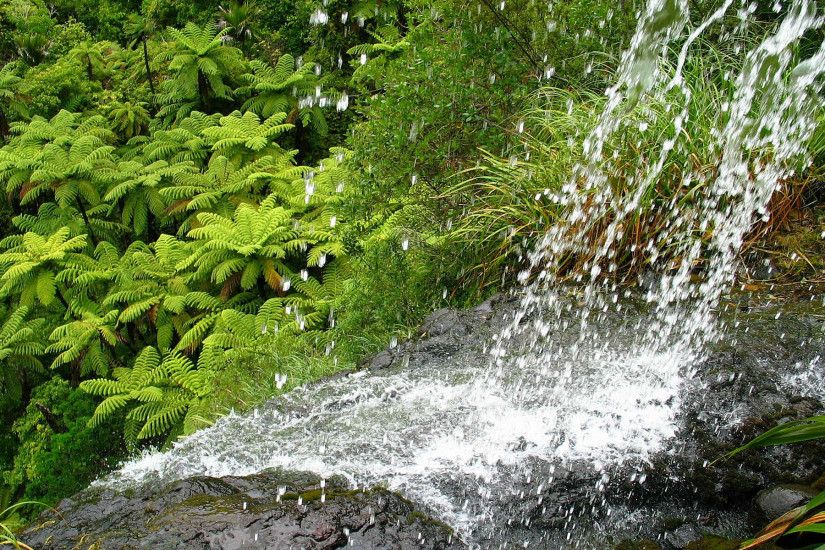 Download: Waitakere Waterfalls HD Wallpaper