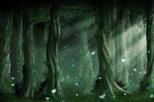 popular forest backgrounds 2481x1409 picture