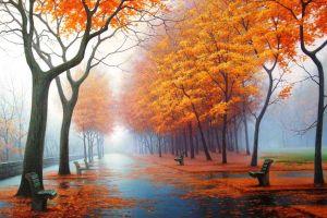 full size fall desktop wallpaper 1920x1080 for hd 1080p
