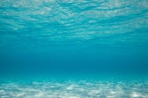 free Underwater Tumblr Background 1920x1080 for iphone