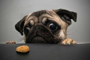 widescreen funny desktop backgrounds 1920x1200