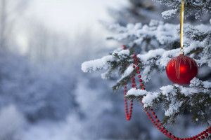 vertical Winter Christmas Desktop Backgrounds 1920x1200 Desktop