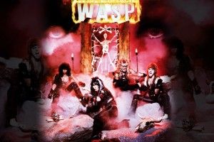 cool Wasp Wallpapers 1920x1200 for windows