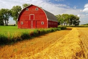 download Farm Background Pictures 1920x1080