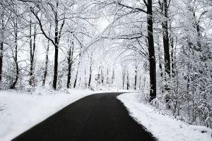 cool winter nature backgrounds 2560x1600 samsung galaxy