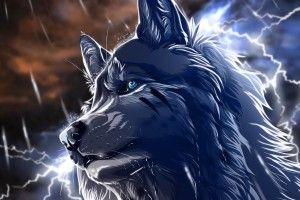 download Anime Wolf Wallpaper 2560x1600