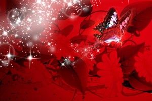 download Red Butterfly Wallpaper 1920x1080