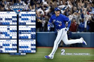 beautiful Toronto Blue Jays Wallpaper 2018 2560x1600
