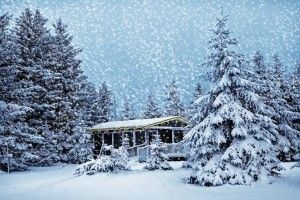 top Christmas Winter Scenes Wallpaper 1920x1080 1080p
