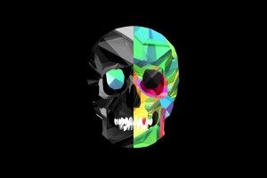 Awesome Skull Wallpaper 1920x1080 picture