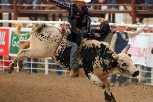 Bull Riding Backgrounds 2000x1618 download free