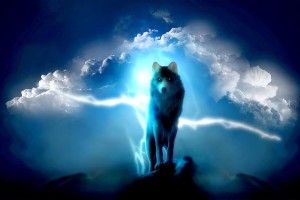 Lone Wolf Wallpaper 1920x1080 iPad