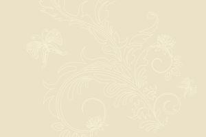 best beige background 3300x2550