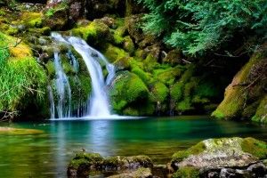 download free Desktop Background Nature 1920x1080