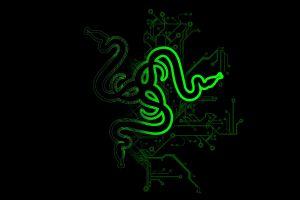 razer background 1920x1200 download