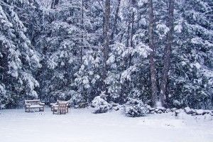 Snow Storm Wallpaper 1920x1200 for pc