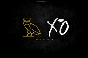 beautiful Ovoxo Wallpapers 2560x1440 for phone