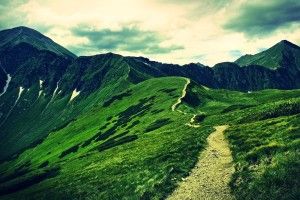 Trail Wallpapers 1920x1200 for hd 1080p